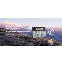 Carte SD Silver Plus 256GB Professional microSDXC™ UHS-I