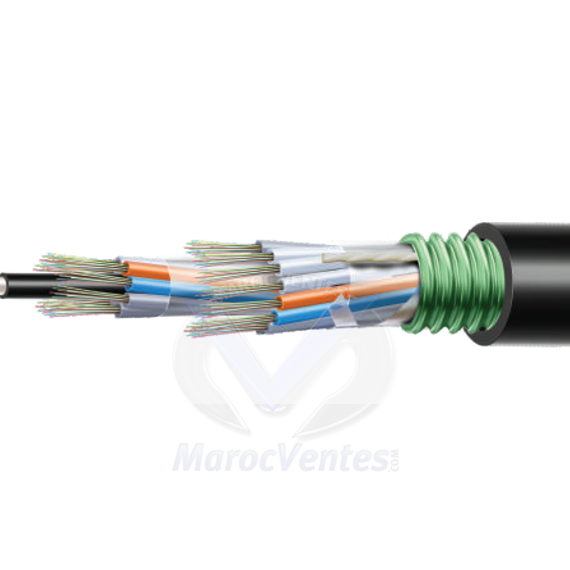 CABLE FIBRE OPTIQUE LINK TECH 1 BRIN MONOMODE ARMEE LIN-FIB/1B.MON