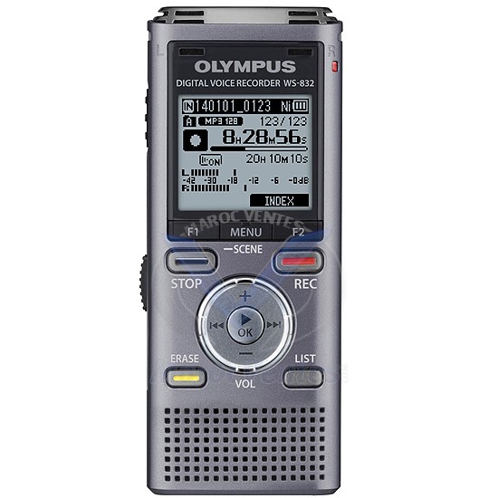 Dictaphone avec Microphones Stéréo Intégré USB 4 Go WS-832